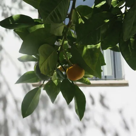 Lejlighed Chiado Bairro Alto, Bright And Newly Renovated 3 Bedroom Apartment, Historical Center